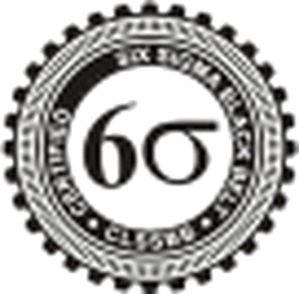 Lean Six Sigma Black Belt
